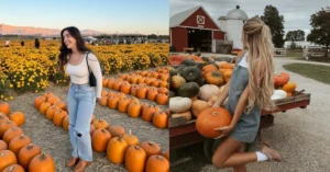 pumpkin patch outfit women