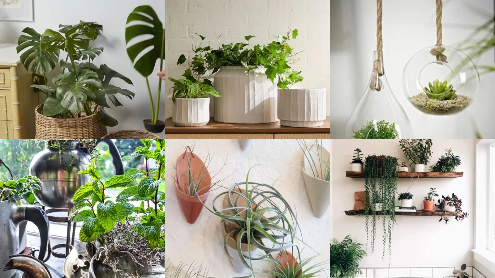 20+ Genius Planters Ideas Indoor Worth Stealing