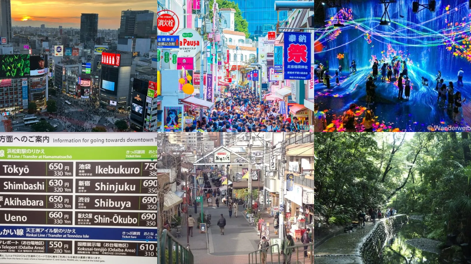 20+ Genius Tokyo Itinerary 5 Days Worth Stealing
