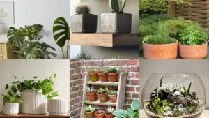 20+ Genius Planters Ideas Indoor Worth Stealing