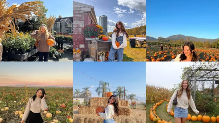20+ Trendy Pumpkin Patch Outfit Ideas You Can’t Get Around