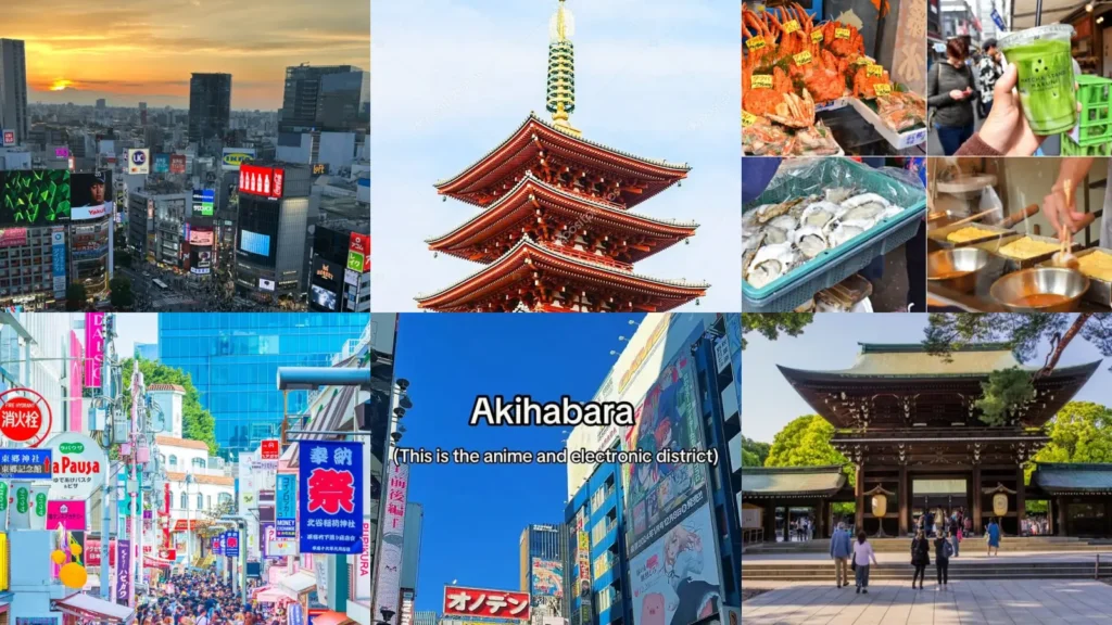 20+ Genius Tokyo Itinerary 5 Days Worth Stealing