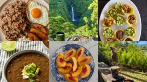 20 Costa Rica Food Ideas From Breakfast Plates to Coffee