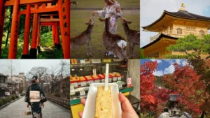 20 Things to Do in Japan From Shrine Walks to Street Food