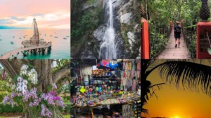 20 Things to Do in Puerto Vallarta From Beach Days to Garden Walks