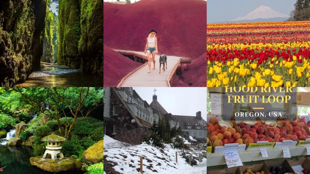 20 Unique Things to Do in Oregon, From Coastal Views to Farm Stops
