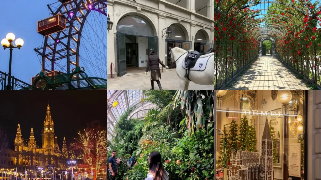 19 Unique Things to Do in Vienna, From Café Stops to City Views